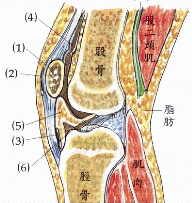 微信截图_20231104082304.png